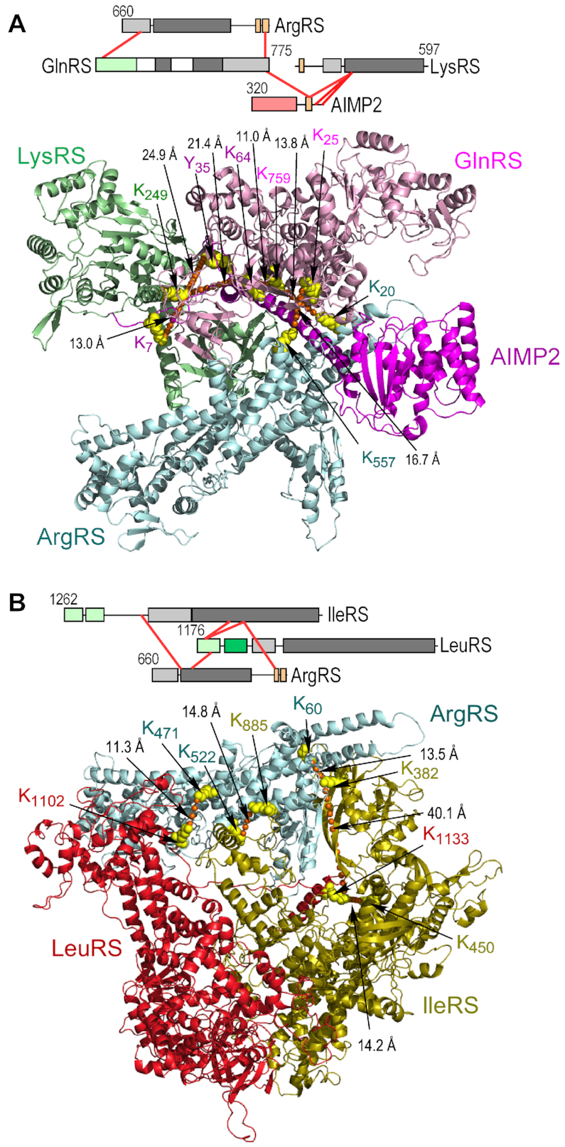 Figure 6.