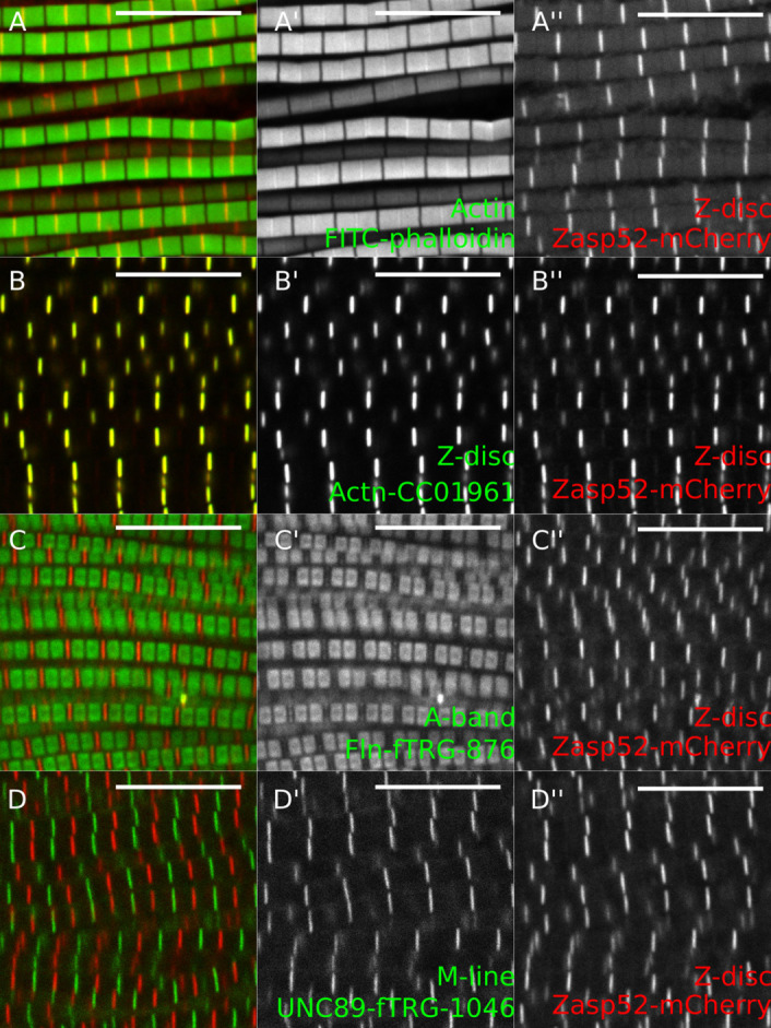 Figure 5.