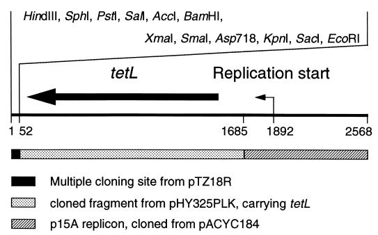 FIG. 1