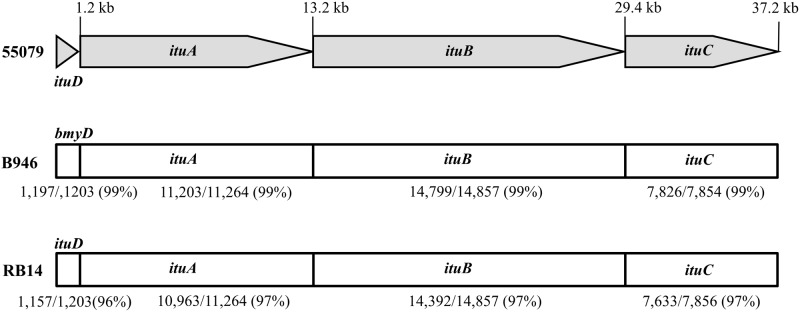 Fig 5