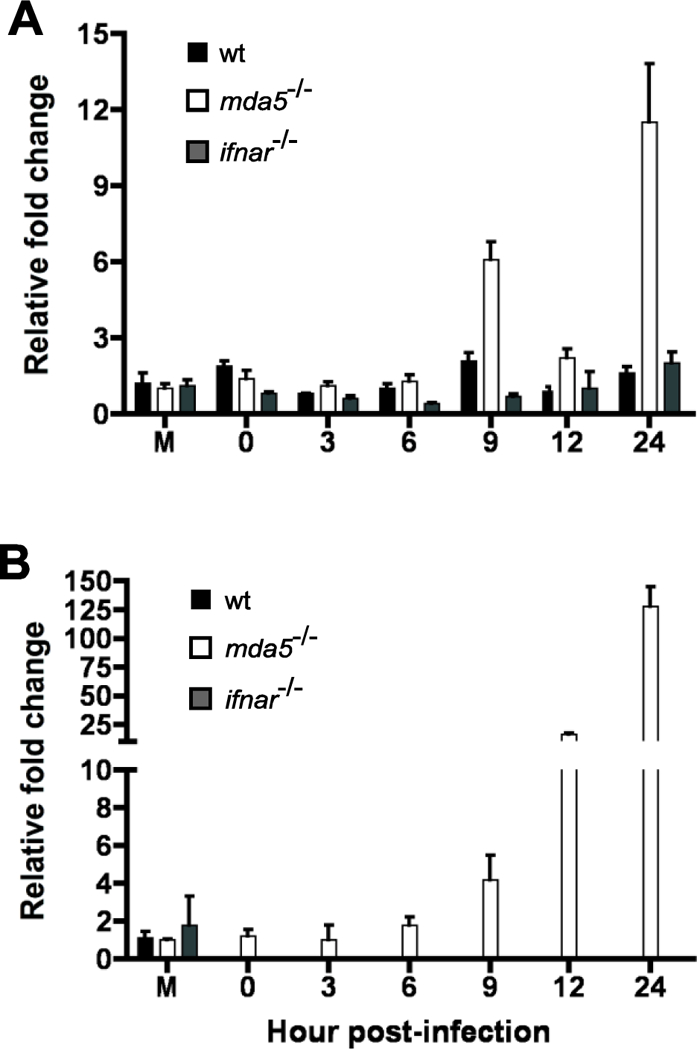 Figure 10.