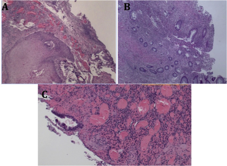 Fig. 2