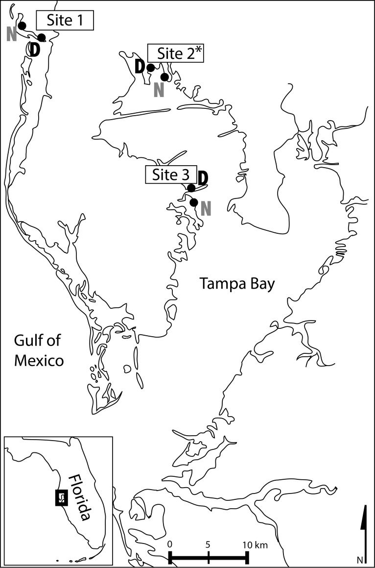 Fig 1