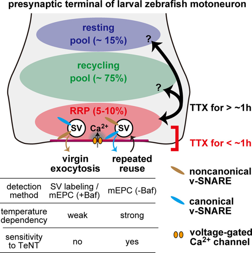 Figure 10.