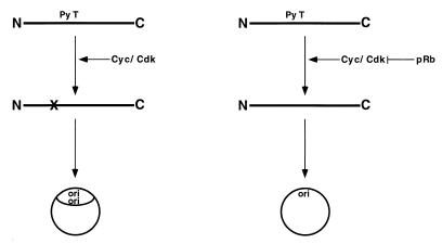 FIG. 7