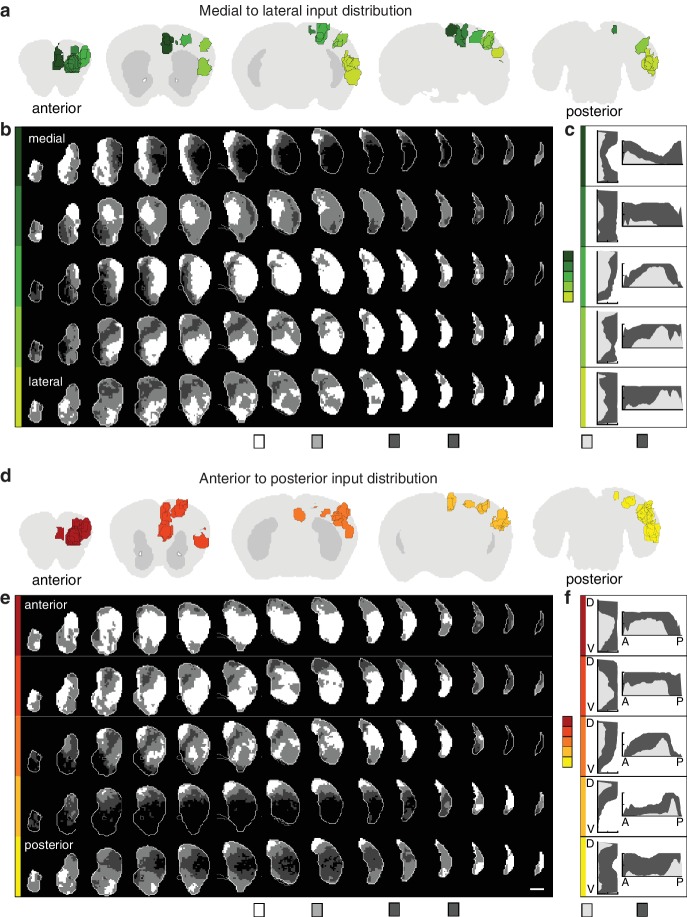 Figure 2—figure supplement 2.