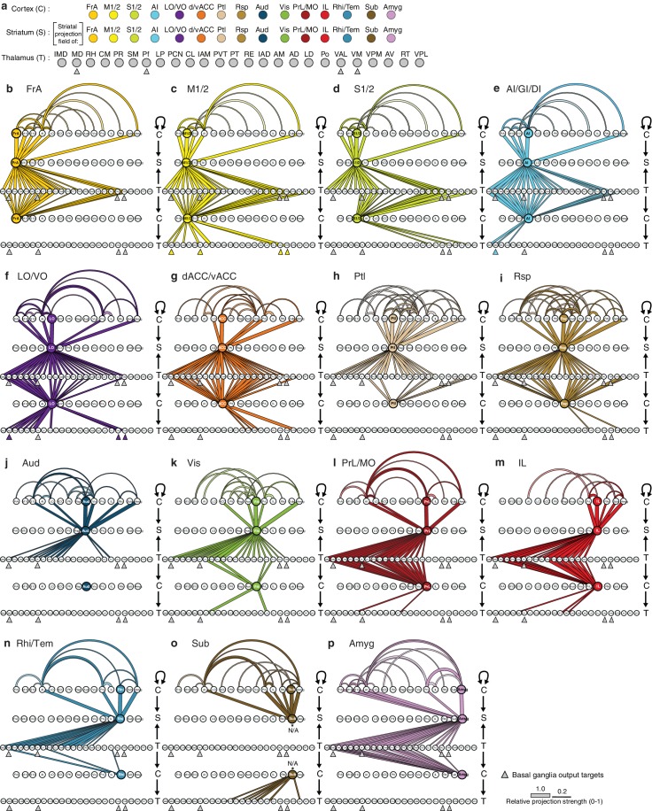 Figure 6—figure supplement 3.