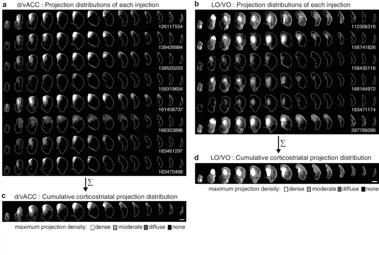 Figure 2—figure supplement 1.