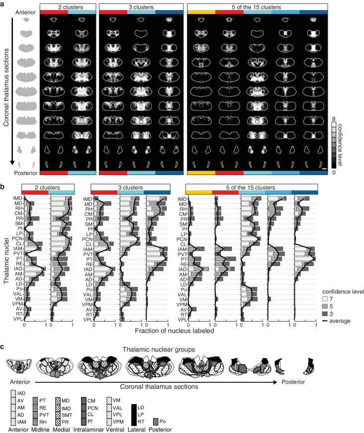 Figure 5—figure supplement 3.