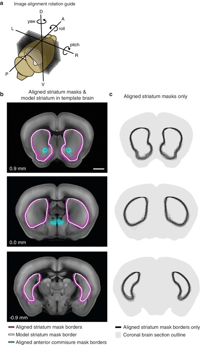 Figure 1—figure supplement 4.