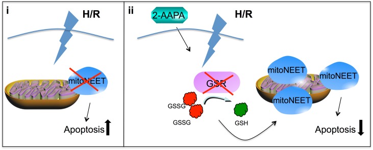 Fig 7