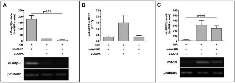 Fig 5