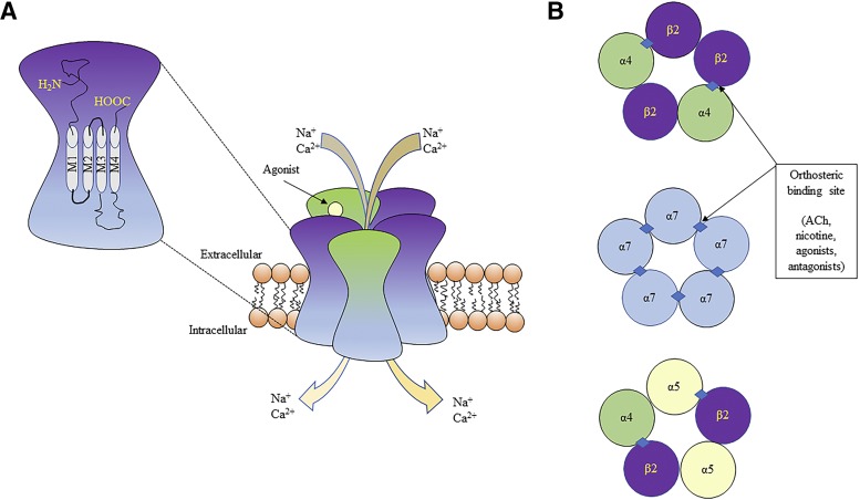 Fig. 1.