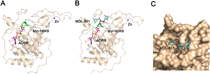 Figure 2