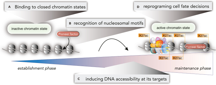 Figure 1