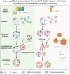 Graphical Abstract