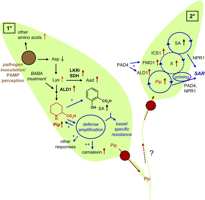 Figure 9.