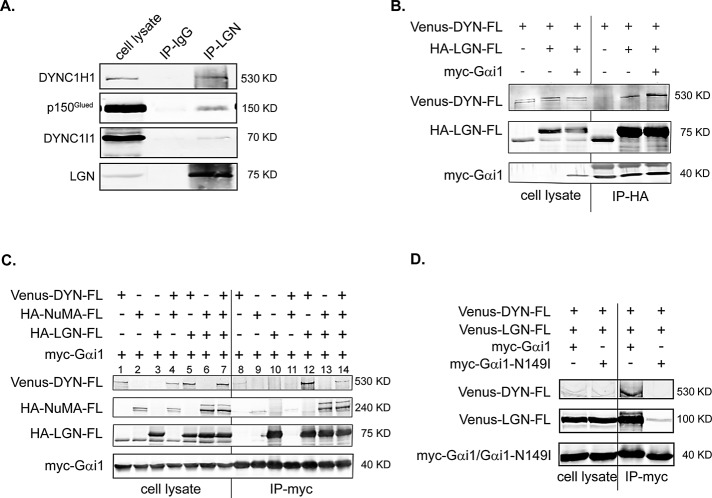 FIGURE 1: