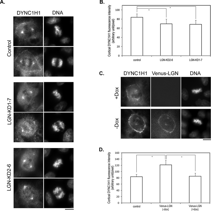 FIGURE 2: