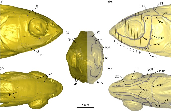 Figure 3.