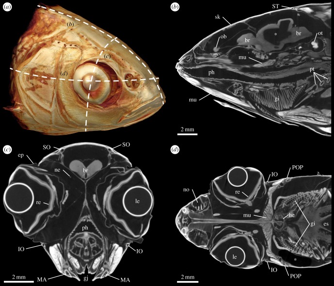 Figure 2.