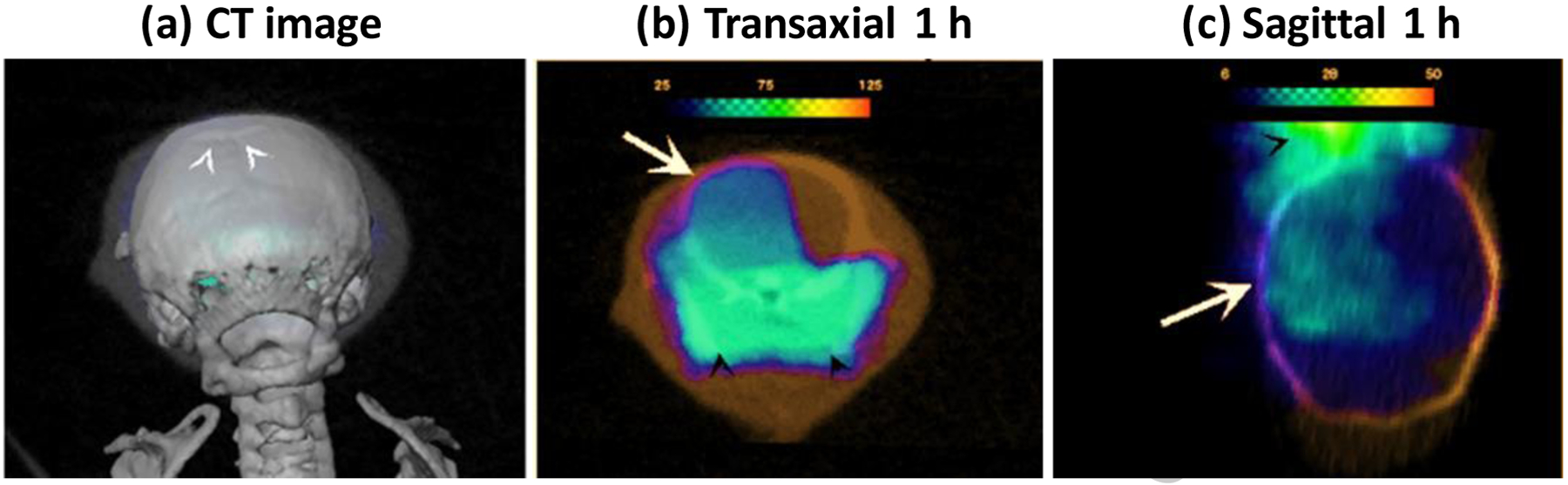 Figure 6: