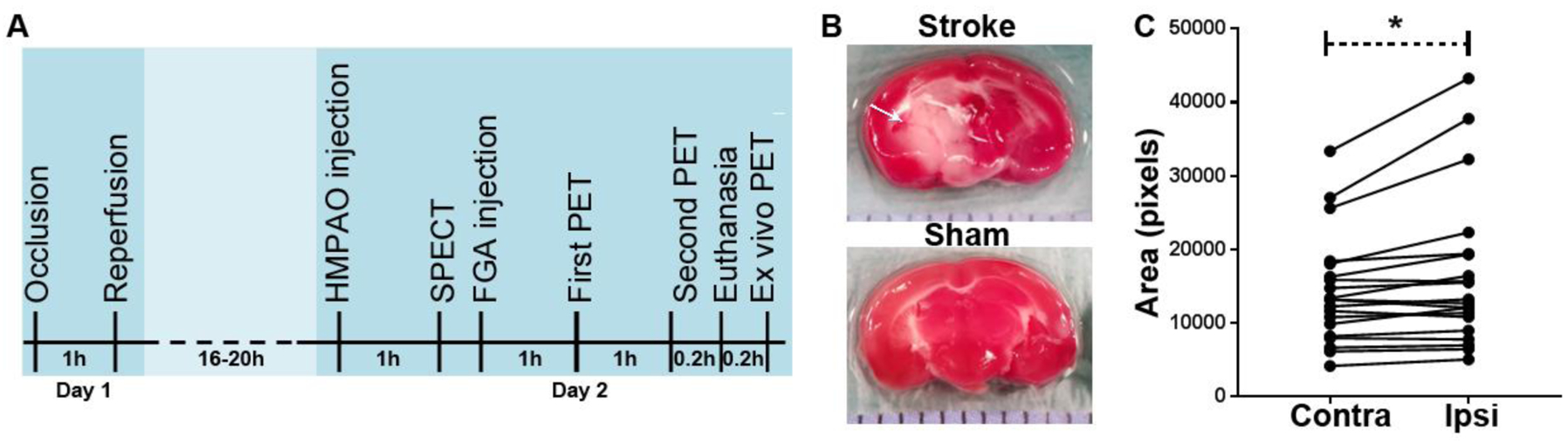 Figure 1: