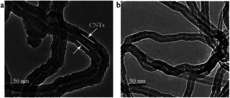 Fig. 11