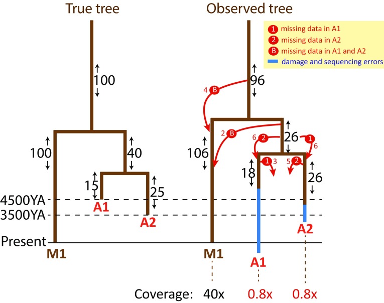 Fig. 1