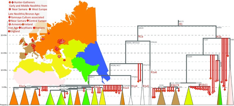 Fig. 7