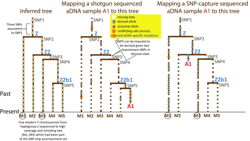 Fig. 2