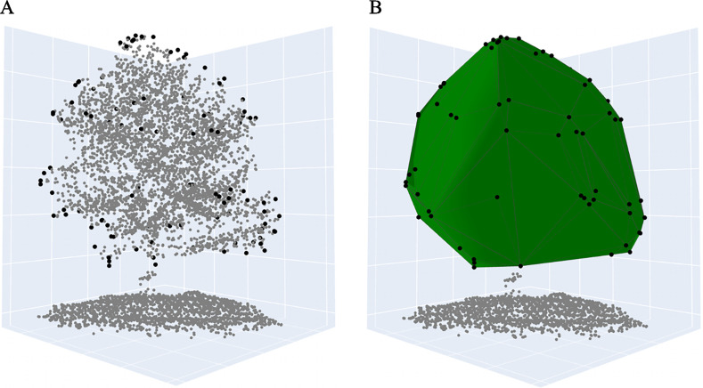 Figures 2A and 2B are images depicting volume estimation of the tree crown by using light detection and ranging data and three-dimension convex hull algorithm for a delineated tree and the reconstructed tree crown surface, respectively. The outmost points which are triangulated with Delaunay triangulation and meshed for surface generation are identified by the three-dimension convex hull algorithm.