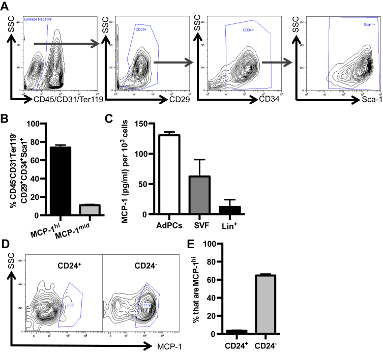 Figure 2