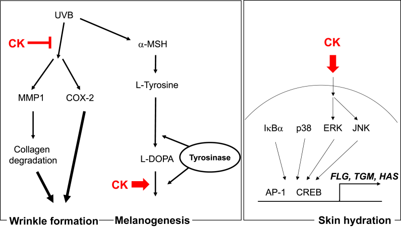 Fig. 4