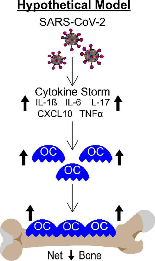 Unlabelled Image