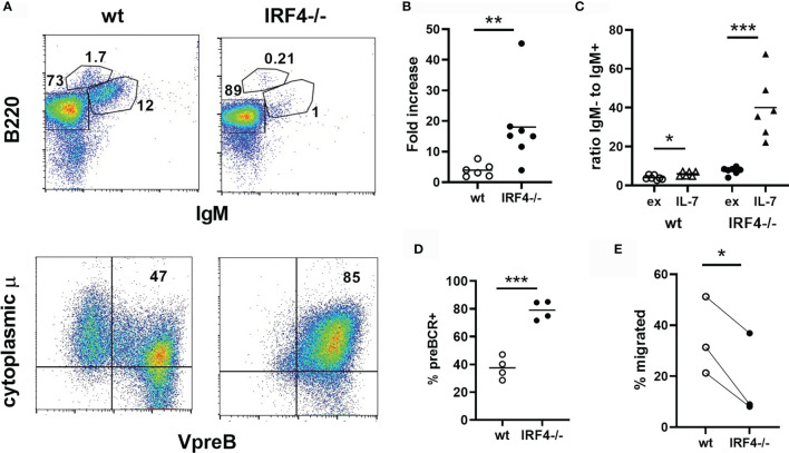 Figure 2