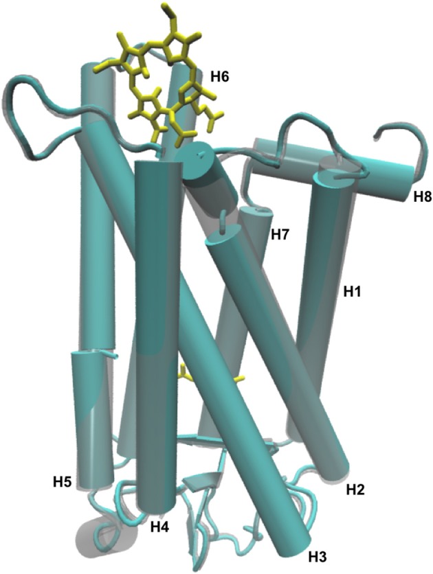 Figure 6