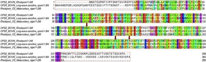 Figure 7