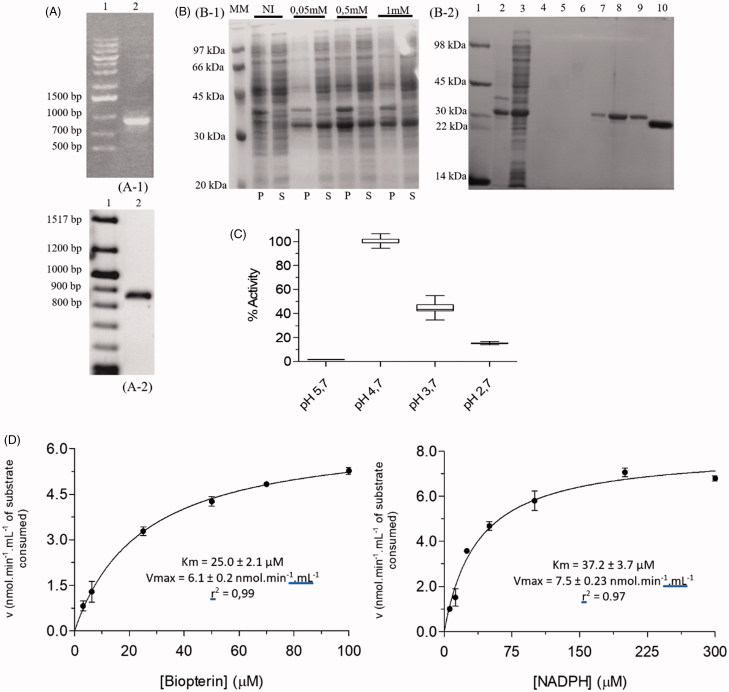 Figure 2.