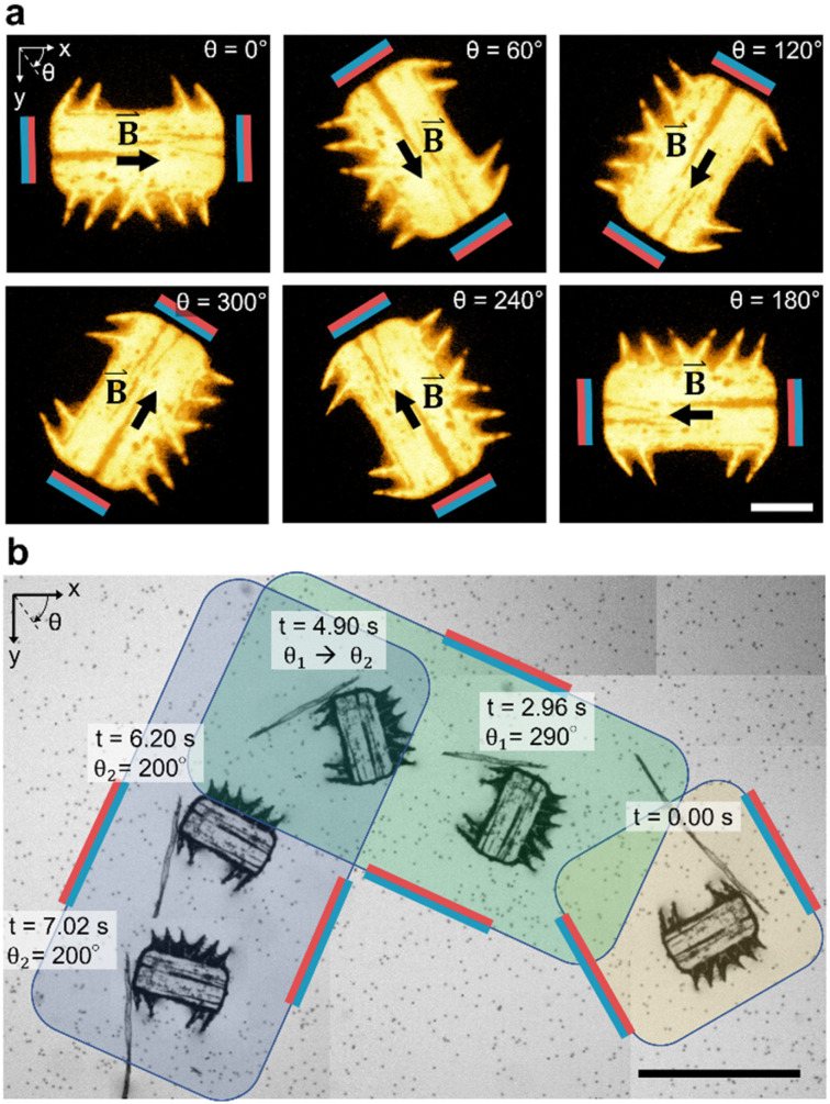 Fig. 4