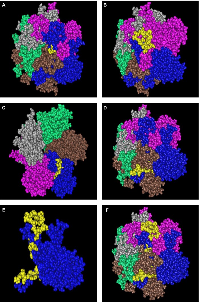 Figure 6