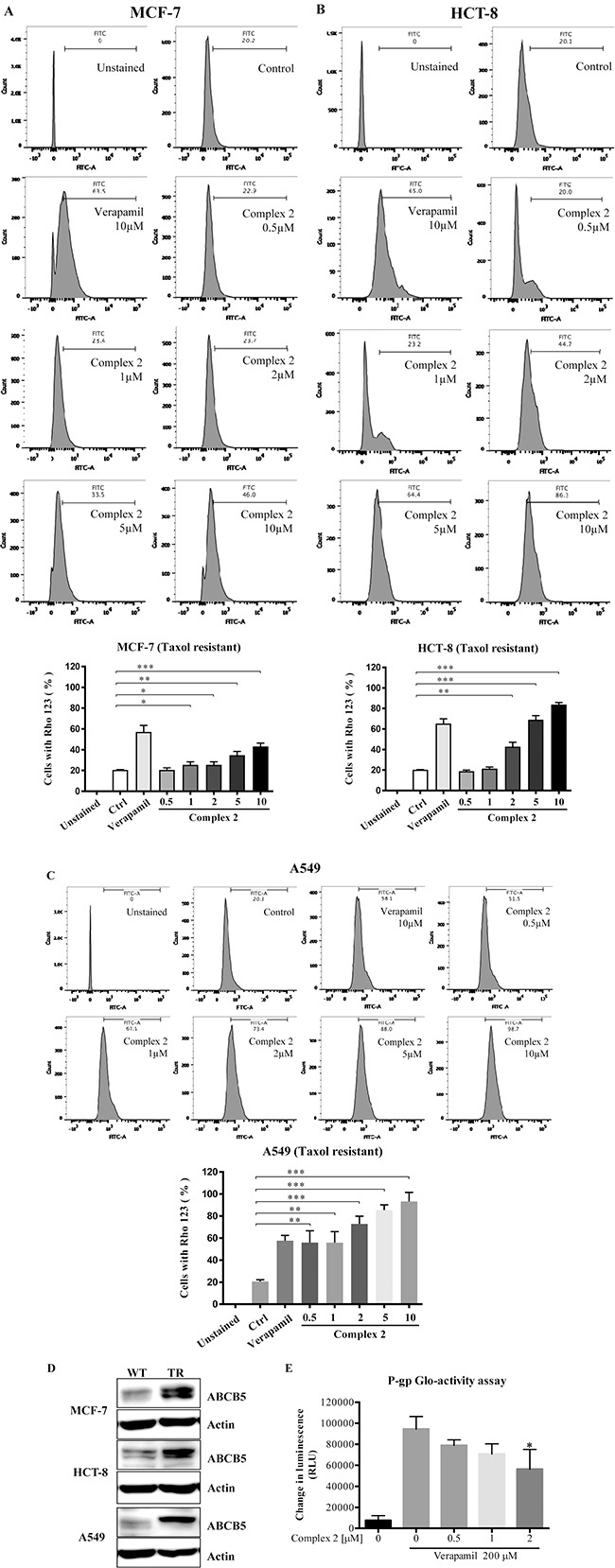 Figure 5