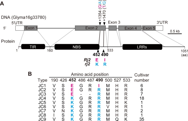 Fig 1