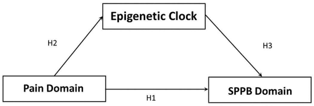 Figure 1: