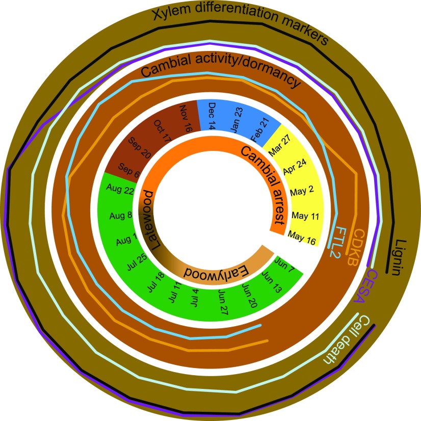 Figure 9.