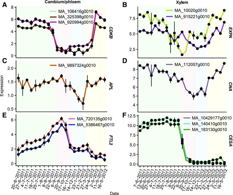 Figure 3.