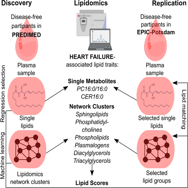 graphic file with name nihms-1653381-f0001.jpg