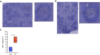 Fig 9