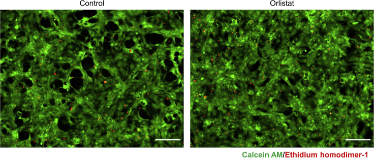 Figure 2