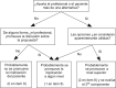 Figura 1